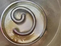 商用廚房設備專家和你聊聊水垢的危害及解決方法